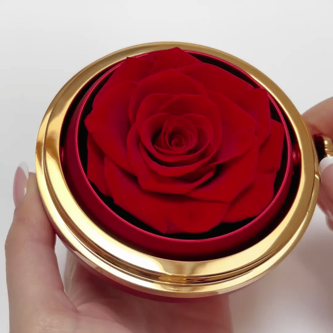 Eternal Clover Necklace - Special Set