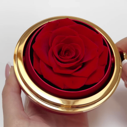 Eternal Clover Necklace - Special Set